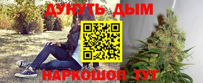 спайс Ачхой-Мартан